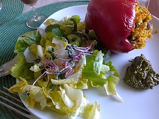 Teller mit Salat, Sprossen und gefüllter roter Paprika und Gierschpesto